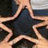 A four-quadrant image with a star-shaped cutout revealing a person's face, pink and gray background sections, and pixelated text reading 'ktown + normandy' and 'forever babyy'.
