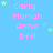 A static image with a light blue background displays repeated text in pink and green pixelated font, with small green stars scattered throughout.