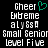 Pixelated text displays 'Cheer Extreme' with a green heart symbol, 'ally6sQ', 'Small Senior', and 'level Five' on a black background.
