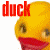 Animated sequence showing a yellow duck with red beak and black eyes, followed by two white geese with orange beaks, all against plain backgrounds.