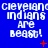 Blue background with repeated white text 'cleveland indians are beast!' and scattered red plus signs, some frames show additional small red dots.