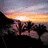 A four- shows a sunset landscape with trees and rocks, where two display white text overlays reading 'need' and 'beauty'