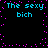 Pixelated text 'The sexy bich' repeated in cyan on black background with pink border dots.