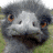 Animated contact sheet of an emu's face showing text progression across 13 frames with varying letter counts and punctuation.