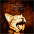 A 50x50 pixel animated icon featuring a cat with its mouth open, displayed alongside text reading "four ways to scream your name" on a light yellow background.