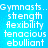 Static pixel art displays white text on a blue background with repeated words 'Gymnasts', 'strength', 'Flexibility', 'tenacious', 'ebulliant' in two identical vertical