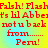 Red pixelated text on a yellow and cyan gradient background reads 'Falsk! FlashFalsk! Flash' followed by 't's lil Abbets lil Abbe' and 'notu back notu back from...... Peru!' in four identical