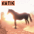 A horse stands in a field with warm light behind it, while text above changes from 'KATIE' to various heart and symbol combinations.