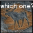 Pixelated image of a brown and gray object with white text asking 'which one?' and 'Garrit or aberc.?' in two
