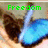 A pixelated image of a blue and white object with green text reading 'Freedom is to precious to cage' across four