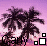 Pixelated palm trees against a purple-pink gradient sky with the name 'Carly' in stylized text and square icons below.