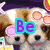 Two brown and white puppies with pink circular decorations on their heads, overlaid with cyan 'Be' text.