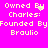 Pixelated text on bright pink background with two identical side-by-side showing 'Owned By Charles: Founded By Braulio' and a second where 'Charles' is misspelled as 'Charlesi'