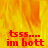 Animated fire background with red text reading 'tsss.... im holt' in three positions across the frame, with a gray rectangle covering the bottom-right corner.