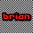 Red pixelated text on a gray checkered background reads 'brian likes' above 'PENIS !!!!'