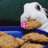 Pixelated image of a white animal with brown accents, pink nose, and dark eye against blue water and green background.