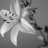 Pixelated grayscale image of a stylized character with large eyes and flowing hair, set against a plain background.