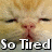 A cat's face with closed eyes and a pink nose appears in four , each displaying the text "So Tired" below it