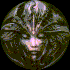 Circular icon with a stylized face featuring glowing eyes and a central light, surrounded by dark floral or leafy patterns on a black background.