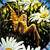 Fantasy icons for AIM, MSN, MySpace and Yahoo