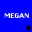 Four display 'MEGAN' text with star symbols; top-left and bottom-left show black star, top-right and bottom-right show blue star