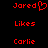 Red pixelated text on black background with 'Jared' having a heart symbol replacing the letter O, and repeated names below.