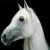 A pixelated white horse head in profile against a black background, with green text reading 'Original Icons .com' on the right side.
