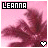 Two side-by-side pixelated images of a pink background with dark red floral shapes and white heart symbol, differing only in text box color.