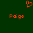 Red pixelated heart symbol above two instances of the name 'Poige' on a dark green background.