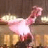 Animated contact sheet showing a dancing figure with text overlays on olive and gray backgrounds.
