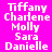 Pixelated text list of names on four colored backgrounds with no visible animation changes.
