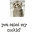 Pixelated image of a cat-like creature with large eyes and brown fur, positioned above stylized text reading "I'm called my" on a white background.