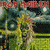 Animated contact sheet of Iron Maiden's Eddie mascot in three frames showing sequential motion with a car and grass background.
