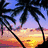Animated scene of palm trees silhouetted against a sunset sky with a beach and ocean view.