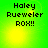 Green background with yellow gradient and four identical text blocks reading 'Haley Rueweler ROX!!' in pixelated font.