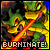 A static pixel art image of a cartoon character with green and yellow tones, holding a red sword-like object, with the text "BURNINATE!" below.