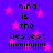 Purple background with pink stars and repeated text 'nina is the bestest' with exclamation marks.