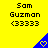 Yellow background with black text 'Sam Guzman <33333' above a blue triangular icon containing a yellow heart symbol.