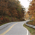 A static pixelated image shows a road with a yellow center line curving through a landscape of brown and green foliage under a bright sky.