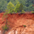 Pixelated landscape with green foliage above a reddish-brown terrain and light-colored ground, rendered in low-resolution blocky style.