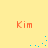 Four orange 'Kim' text labels on a yellow background with scattered blue pixel clusters moving across the frame.