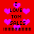 Red background with pink hearts and black text reading "I LOVE TOM SALIS" repeated twice with exclamation marks below.
