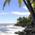 Pixelated landscape showing a tree with green foliage, a body of water, and a light blue sky with white clouds.