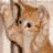 A 48x48 pixel animated buddy icon featuring a ferret in a bunny costume with text overlays, displayed as part of a contact sheet layout.