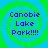 Four identical pixelated display blue text reading "Canobie Lake Park!!!!" over a green and cyan spiral background