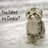 A small animated icon shows a raccoon-like character standing on a light gray background with text reading "You Lost my Cooper?" in the top-left corner.