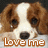 A brown and white dog with large dark eyes appears in , each displaying different text overlays