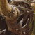A 50x50 pixel animated buddy icon featuring a close-up of a cartoonish brown creature's face on the left and green text reading "Original Icons .com" on a dark green background on the right.