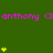 Green background with repeated pink text 'anthony' and yellow star icons in varying quantities across three