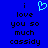 Blue background with black pixelated text reading 'i love you so much cassidy' and a light blue heart symbol above the word 'love'.